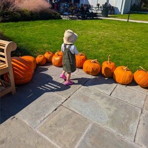 Meet your Posher, Ty